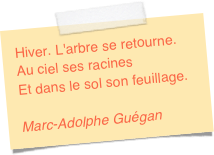 Hiver. L'arbre se retourne.Au ciel ses racinesEt dans le sol son feuillage.Marc-Adolphe Guégan 